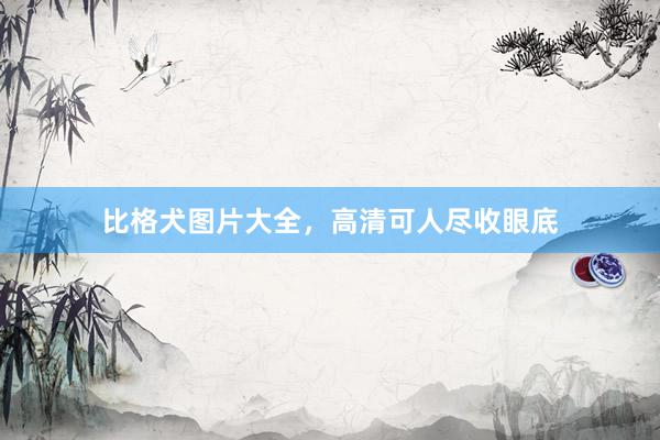 比格犬图片大全,高清可人尽收眼底