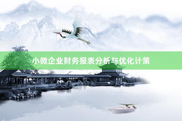 小微企业财务报表分析与优化计策